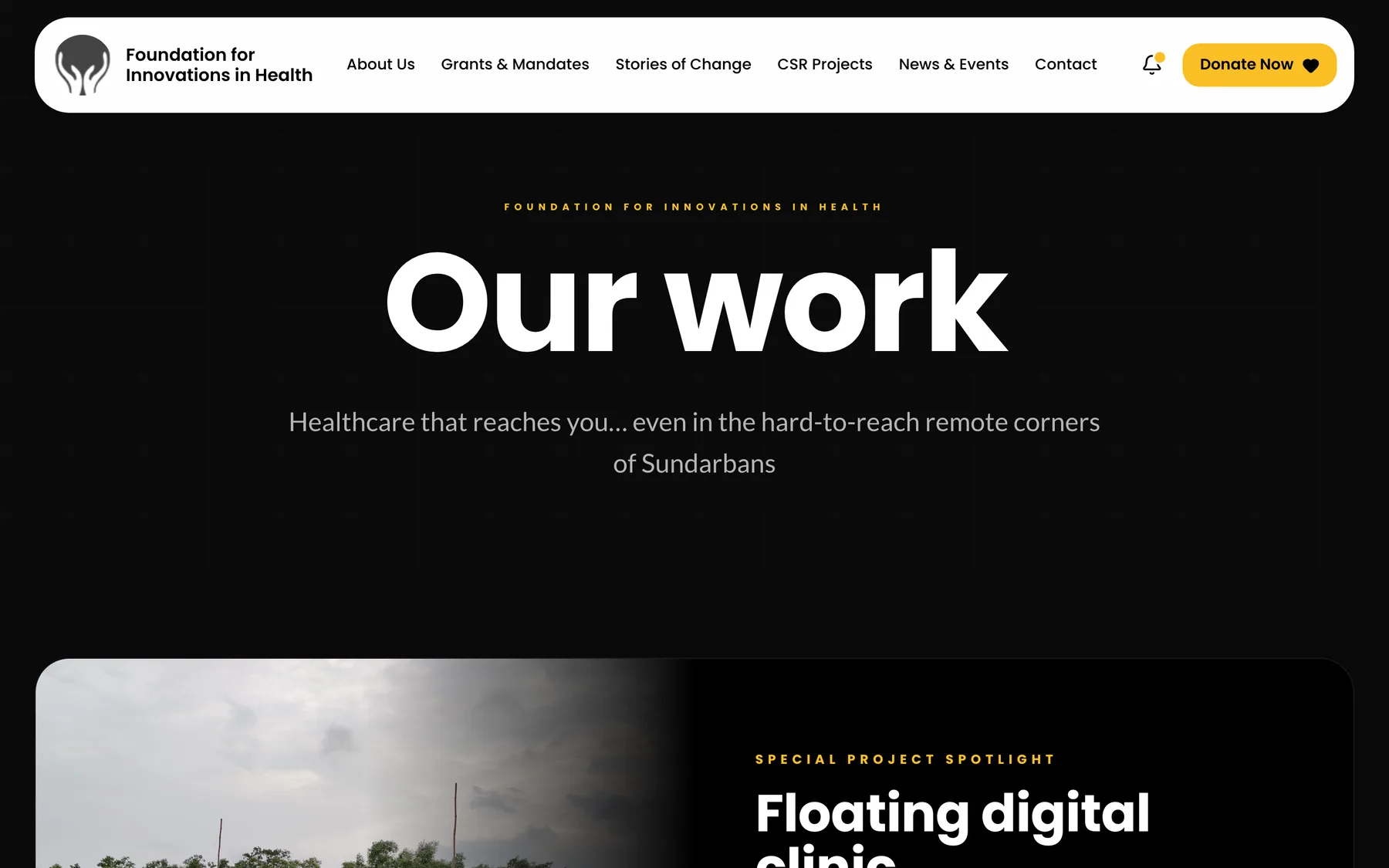 The FIH Our Work page opening on the floating digital clinic spotlight