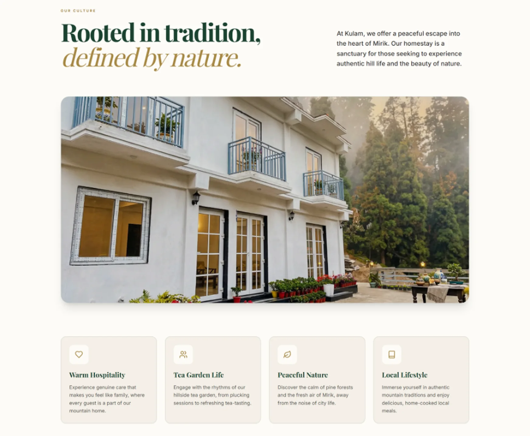 Design & Development - Cultural Pillars and Visual Identity