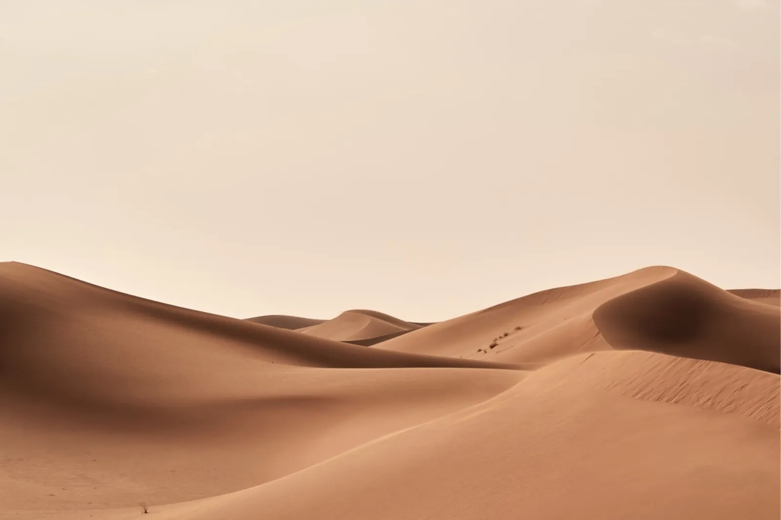 Warm, earthy dunes at dusk reflecting the tone of Mohuna Media's environmental and community storytelling